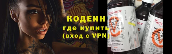 прущие грибы Балахна