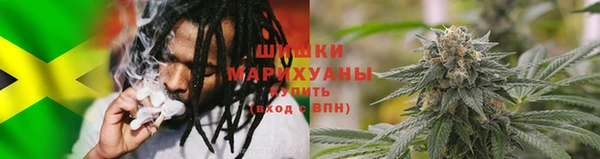 прущие грибы Балахна