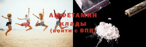 прущие грибы Балахна