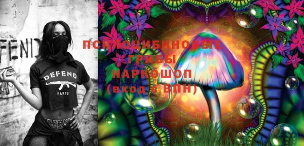 прущие грибы Балахна