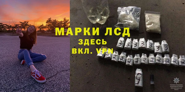 прущие грибы Балахна