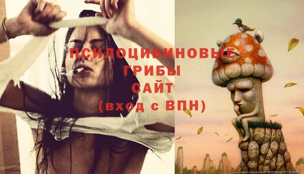 прущие грибы Балахна