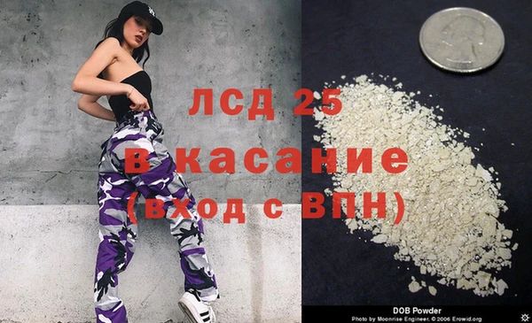 прущие грибы Балахна