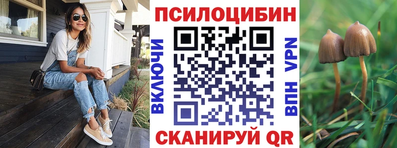 Псилоцибиновые грибы MAGIC MUSHROOMS  магазин продажи наркотиков  Каменск-Шахтинский 